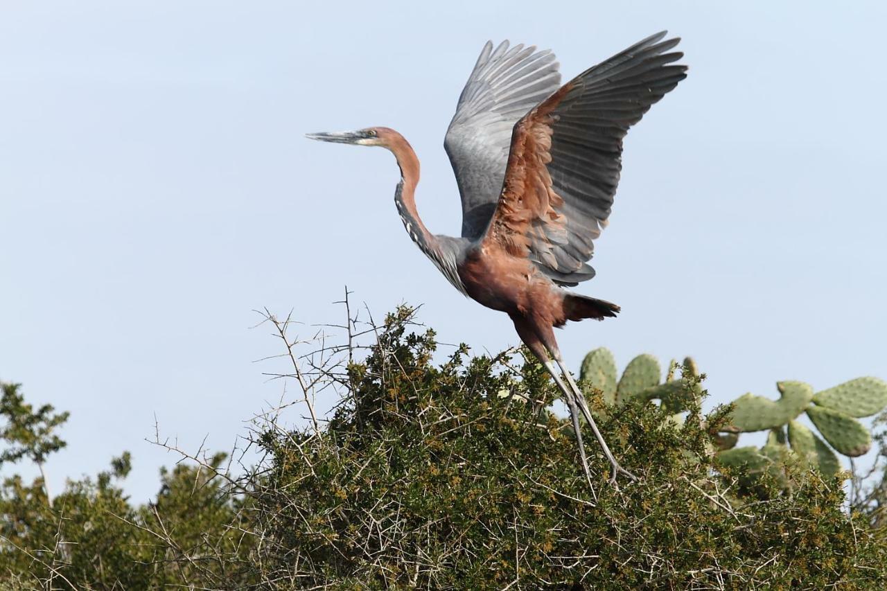 Addo Gateway Lodge Колчестер Екстер'єр фото